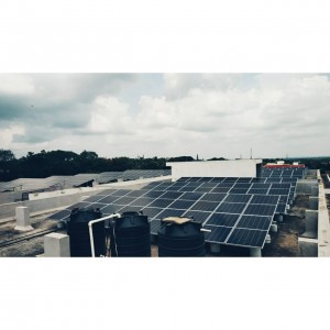 Solar Panels installed at site