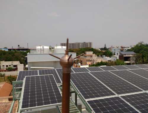 Earthing practices at EcoSoch